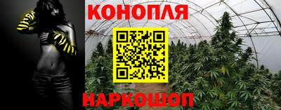 гидропоника Кулебаки